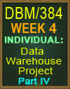 DBM/384 Data Warehouse Project Part IV